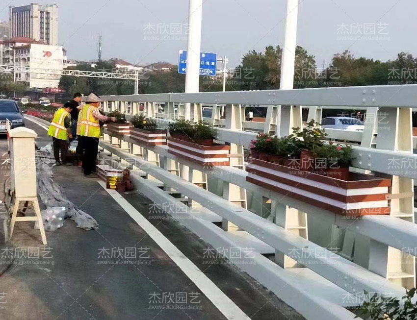 道路桥梁花箱衢州案例