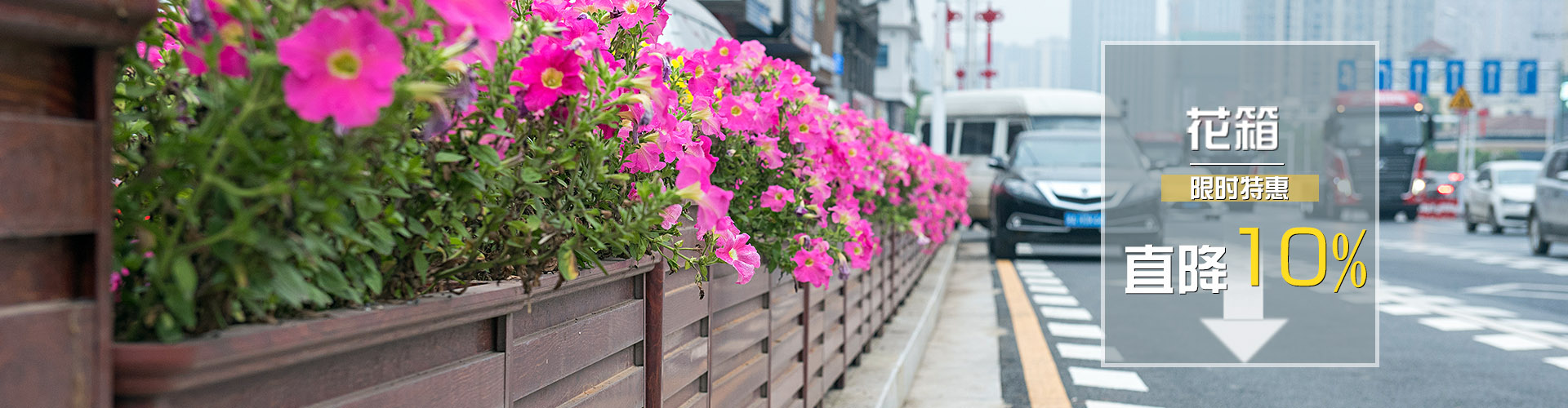 铝合金花箱|PVC花箱|不锈钢花箱-杰欣园艺 - 产品展示